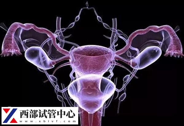子宫内膜异位症能不能直接移植