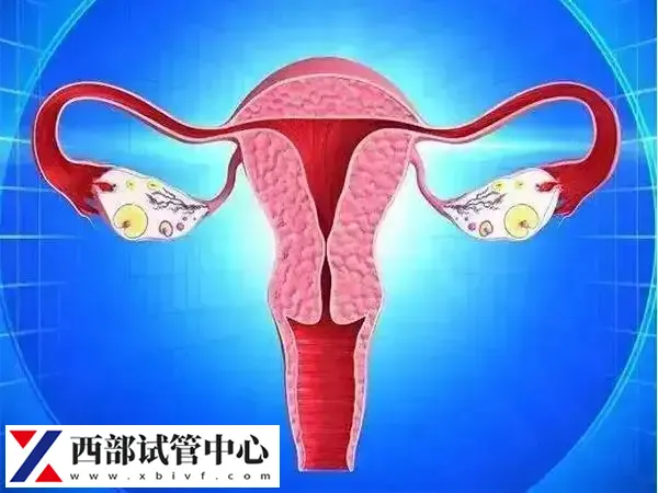 子宫内膜异位症的危害有哪些