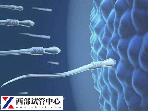 实施供精试管不成功怎么办(图1) 供精试管一次不成功能用原来的供精