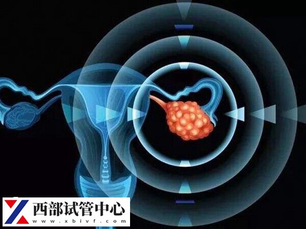 什么因素会影响胚胎着床