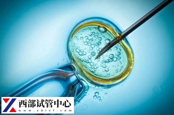 胚胎着床成功后食欲会突然改变