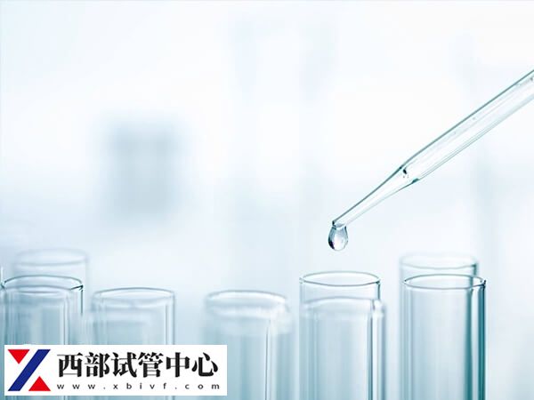 胚胎移植着床后会出现恶心呕吐的早孕反应