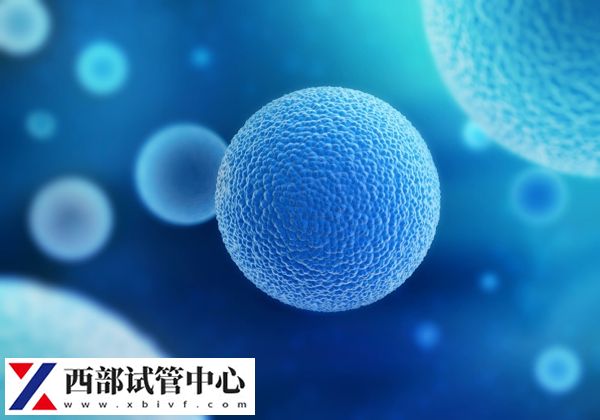 实施供精试管能配几个生殖细胞(图2) 供精试管一次可以结合8-15个卵泡