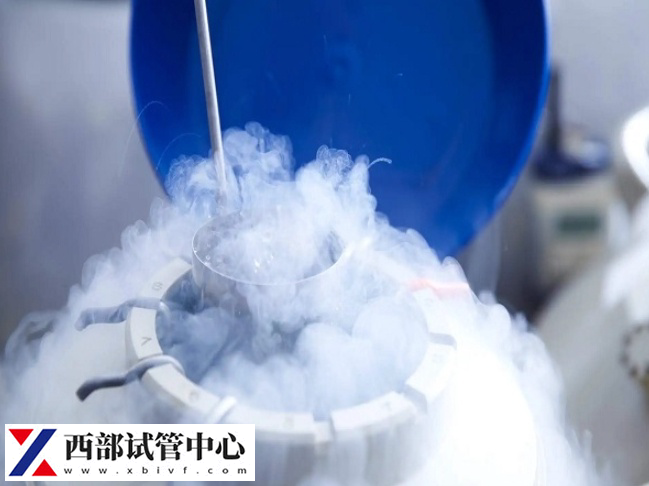 试管婴儿成功后剩余的胚胎怎么处理(图2) 胚胎可以保存在-196摄氏度超低温环境下