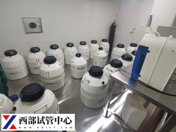 试管婴儿成功后剩余的胚胎怎么处理