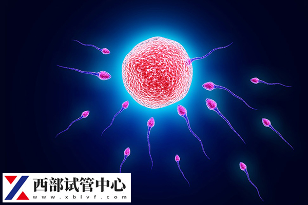 做取精术可以报销医保