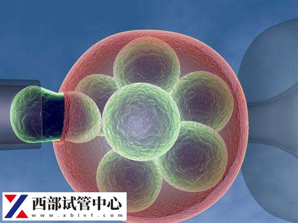 年轻患者做试管成功率高