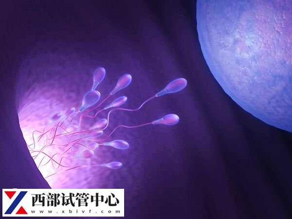 贵州有私立医院能做三代试管生男孩吗？