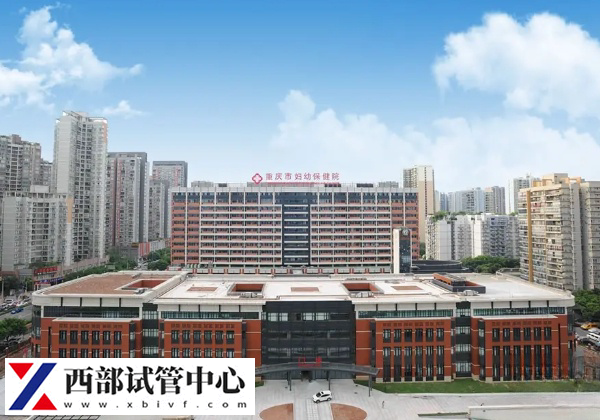 重庆试管婴儿医院哪家成功率高