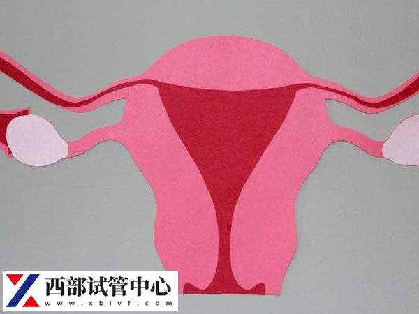 女性fsh10.8做试管的成功率是多少(图3) 当FSH数值高于10通常表明卵巢储备功能下降