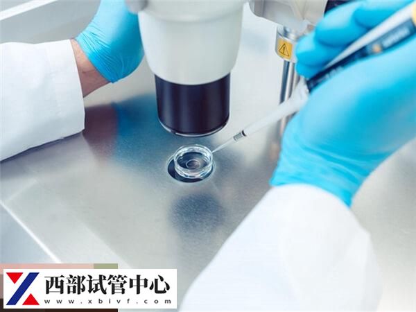 试管3个囊胚pgs筛选成功率,需结合胚胎质量进行判断(图2) PGS筛查有一定的损耗