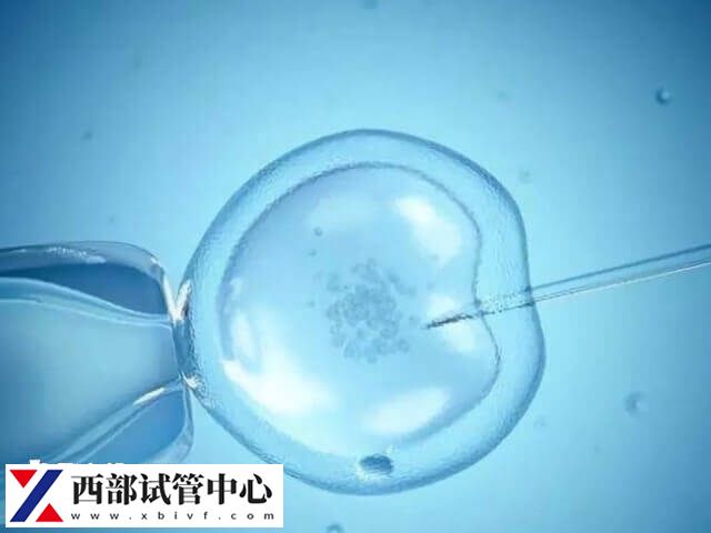 试管移植后48小时如何提高成功率(图1) 试管移植是现代医学技术的一项重要成果