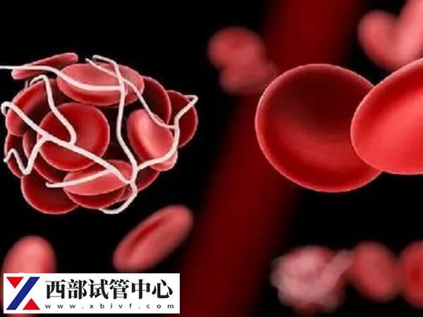 胚胎移植后为何不能一直躺