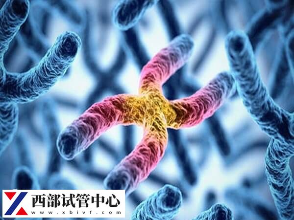 平衡易位会不会导致无精症